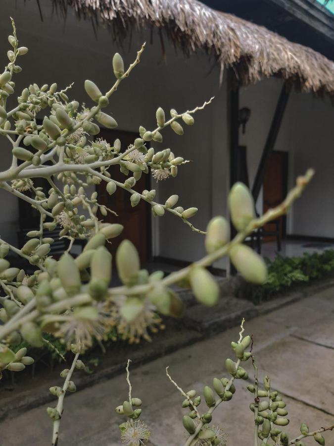 Mimi Kuta Homestay エクステリア 写真